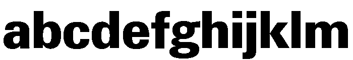 Neue Gstaad Variable Compact Extrabold FONT