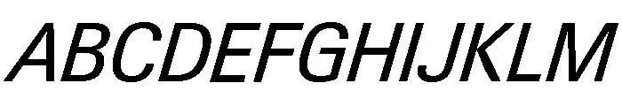 Neue Gstaad Variable Compact Italic Font UPPERCASE