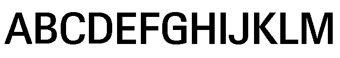 Neue Gstaad Variable Compact Medium Font UPPERCASE