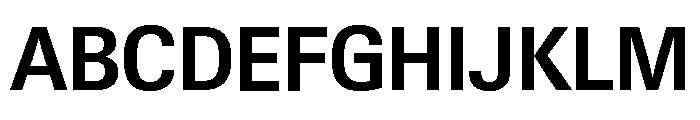 Neue Gstaad Variable Compact Semibold Font UPPERCASE