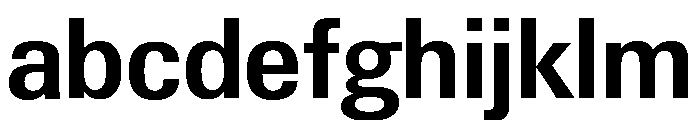Neue Gstaad Variable Compact Semibold FONT
