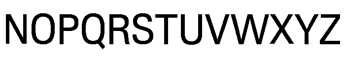 Neue Gstaad Variable Compact Font UPPERCASE