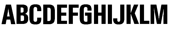 Neue Gstaad Variable Condensed Bold Font UPPERCASE