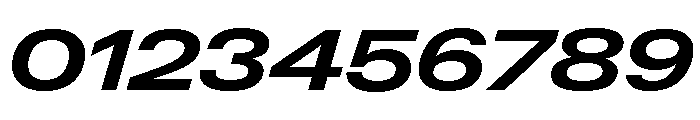 Neue Gstaad Variable Expanded Bold Italic Font OTHER CHARS