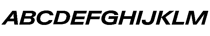 Neue Gstaad Variable Expanded Bold Italic Font UPPERCASE