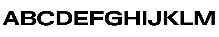 Neue Gstaad Variable Expanded Bold Font UPPERCASE
