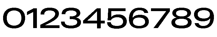 Neue Gstaad Variable Expanded Medium Font OTHER CHARS