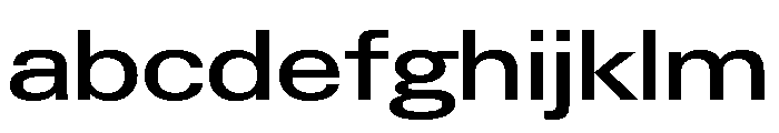 Neue Gstaad Variable Expanded Medium FONT