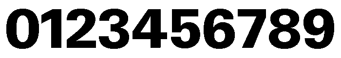 Neue Gstaad Variable Extrabold Font OTHER CHARS