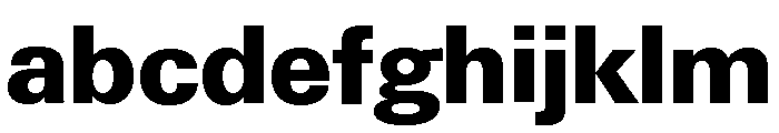 Neue Gstaad Variable Extrabold FONT