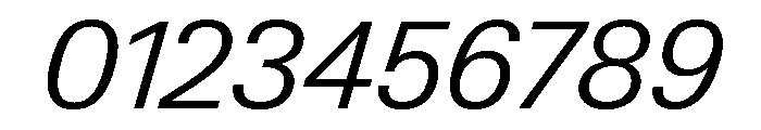 Neue Gstaad Variable Light Italic Font OTHER CHARS