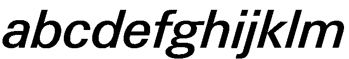 Neue Gstaad Variable Medium Italic FONT