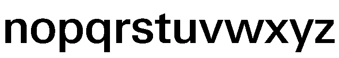 Neue Gstaad Variable Medium Font LOWERCASE