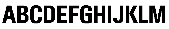 Neue Gstaad Variable Narrow Bold Font UPPERCASE
