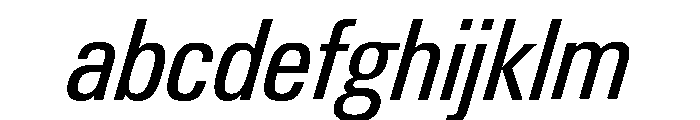 Neue Gstaad Variable Narrow Italic FONT