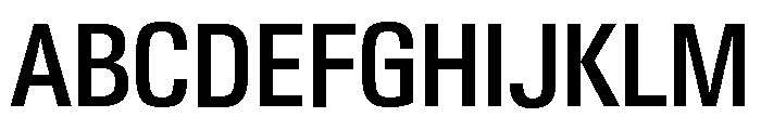 Neue Gstaad Variable Narrow Medium Font UPPERCASE