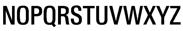 Neue Gstaad Variable Narrow Medium Font UPPERCASE