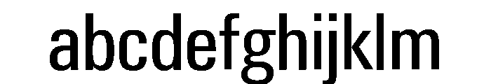Neue Gstaad Variable Narrow FONT