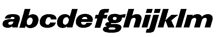 Neue Gstaad Variable Wide Black Italic FONT
