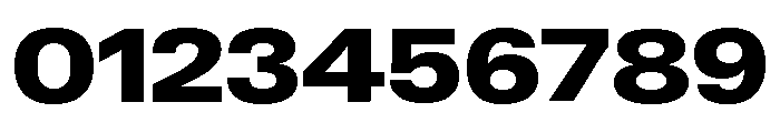 Neue Gstaad Variable Wide Black Font OTHER CHARS
