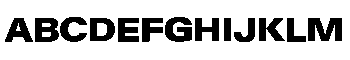 Neue Gstaad Variable Wide Black Font UPPERCASE