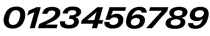 Neue Gstaad Variable Wide Bold Italic Font OTHER CHARS