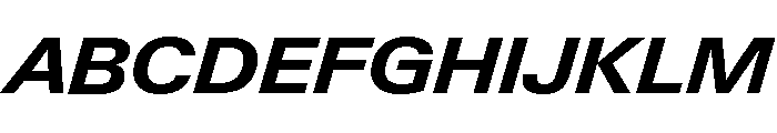 Neue Gstaad Variable Wide Bold Italic Font UPPERCASE