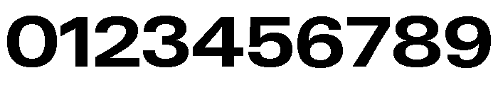 Neue Gstaad Variable Wide Bold Font OTHER CHARS