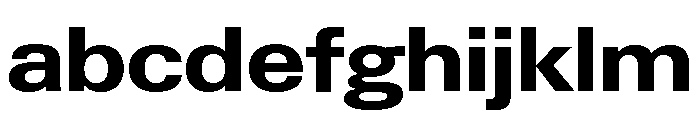 Neue Gstaad Variable Wide Bold FONT