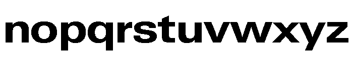 Neue Gstaad Variable Wide Bold Font LOWERCASE