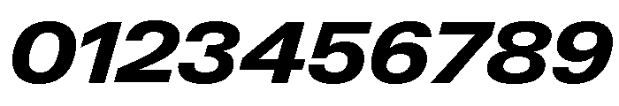 Neue Gstaad Variable Wide Extrabold Italic Font OTHER CHARS
