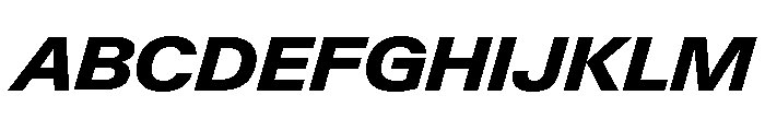 Neue Gstaad Variable Wide Extrabold Italic Font UPPERCASE