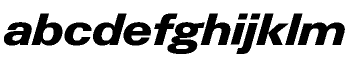 Neue Gstaad Variable Wide Extrabold Italic FONT