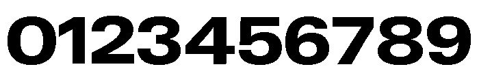 Neue Gstaad Variable Wide Extrabold Font OTHER CHARS
