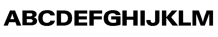 Neue Gstaad Variable Wide Extrabold Font UPPERCASE