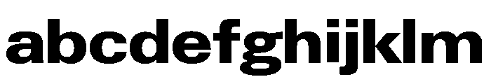 Neue Gstaad Variable Wide Extrabold FONT