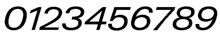 Neue Gstaad Variable Wide Italic Font OTHER CHARS