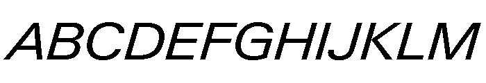 Neue Gstaad Variable Wide Italic Font UPPERCASE