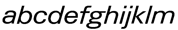 Neue Gstaad Variable Wide Italic FONT