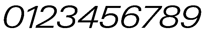Neue Gstaad Variable Wide Light Italic Font OTHER CHARS