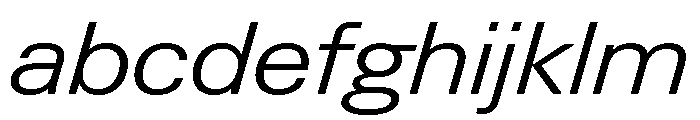 Neue Gstaad Variable Wide Light Italic FONT