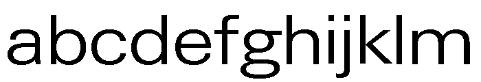 Neue Gstaad Variable Wide Light FONT