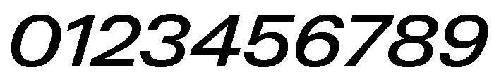 Neue Gstaad Variable Wide Medium Italic Font OTHER CHARS