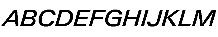 Neue Gstaad Variable Wide Medium Italic Font UPPERCASE