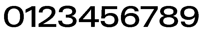 Neue Gstaad Variable Wide Medium Font OTHER CHARS