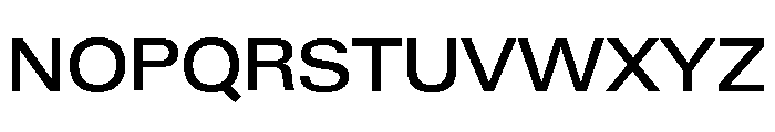 Neue Gstaad Variable Wide Medium Font UPPERCASE