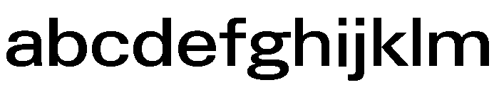 Neue Gstaad Variable Wide Medium FONT