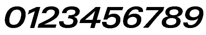 Neue Gstaad Variable Wide Semibold Italic Font OTHER CHARS
