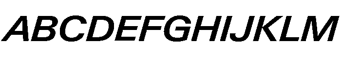 Neue Gstaad Variable Wide Semibold Italic Font UPPERCASE