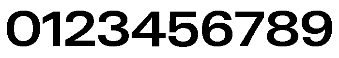 Neue Gstaad Variable Wide Semibold Font OTHER CHARS